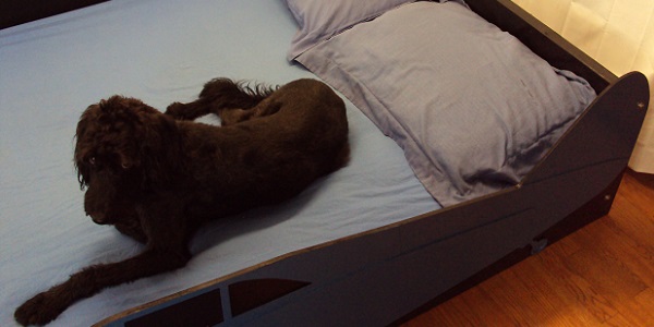 Propeller plane close-up view